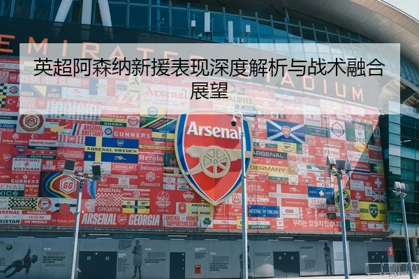 英超阿森纳新援表现深度解析与战术融合展望